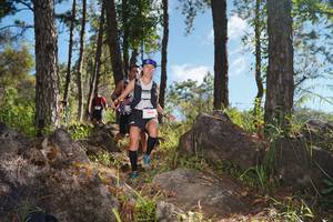 BIB: 
                            <button type="button" onclick="openModal(18937992)" class="btn btn-primary btn-sm float-right btn-popup" data-toggle="modal" data-target=".modal-high-quality">
                        <i class="fas fa-shopping-cart"></i> Add to Cart
                    </button>
                                            <button type="button" onclick="isThisMe(18937992, true)" class="btn btn-success btn-sm float-right btn-popup btn-isme hidden" data-toggle="tooltip" data-placement="bottom" title="นี่คือรูปของคุณใช่ไหม คลิกที่นี่เพื่อเอาเข้าอัลบั้ม">
                        <i class="fas fa-plus"></i> Add to album
                    </button>
                    <button type="button" onclick="isThisMe(18937992, false)" class="btn btn-warning btn-sm float-right btn-popup btn-isnotme hidden">
                        <i class="fas fa-ban"></i> Remove from album
                    </button>